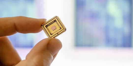 Anschnitt von Zeigefinger und Daumen, die einen goldfarbenen Mikrochip halten